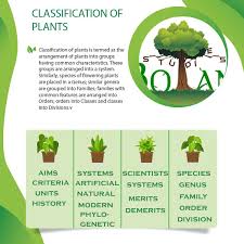 Classification Of Plants Units History Systems Armen