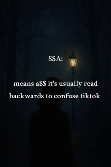 ssa meaning slang