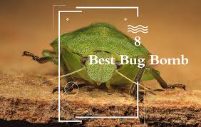 All you need to know about bed bug foggers. 11 Best Bug Bombs To Kill Bed Bugs Pest Wiki