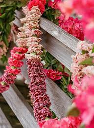 Pin On Floral Centerpieces