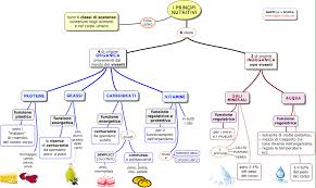 Alimentazione e nutrizione non sono sinonimi. Mappe Per La Scuola Principi Nutritivi
