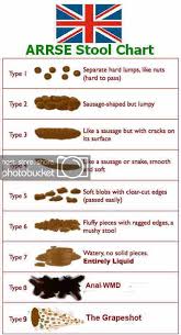 Arrse Poop Chart Arrsepedia