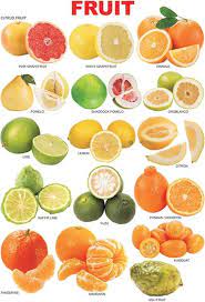 Check spelling or type a new query. What Is A List Of Fruits With Many Seeds Quora