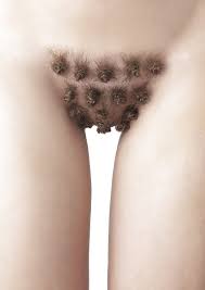 Pubic Haircuts - 66 photos