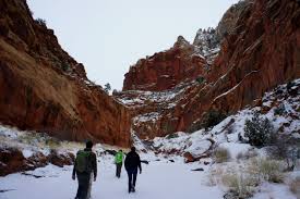 Capitol reef is a national park comprising 378 sq mi (980 km2) of sandstone canyons, ridges, buttes, and monoliths. Lower Spring Canyon Capitol Reef National Park Ut Live And Let Hike
