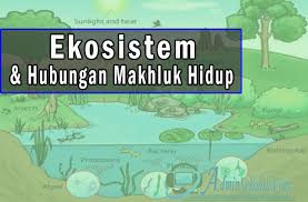 We did not find results for: Ekosistem Dan Hubungan Mahluk Hidup Materi Ipa Tema 5 Kelas 5 Sd Kurikulum 2013 Admin Sekolah