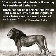 Pin By Riley Jensen On Animal Advocacy Animal Quotes Animal Rights Animals