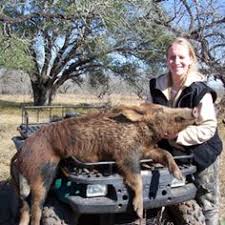 Uploaded by czb1972 on july 11, 2021 at 7:42 pm. 91 Pig Hunting Ideas In 2021 Pig Hunting Hunting Hog Dog