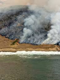 A third of National Park island home to rare wildlife has burned in spate of Southern California wildfires