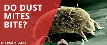 Maybe you would like to learn more about one of these? Dust Mite Bites The Allergy That Looks Like A Bite Thepestkillers