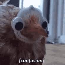 Maybe you would like to learn more about one of these? Confusion Fail Gifs Tenor