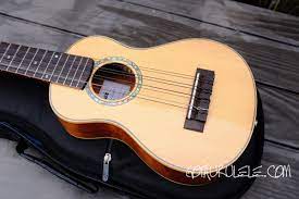 Get to know your apple watch by trying out the taps swipes, and presses you'll be using most. Noah 8 String Concert Ukulele Review