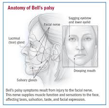 One of the additional benefits of face. Bell S Palsy Overview Harvard Health