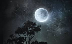 Inevitably the night come, à full moon one, flo's injury which seemed harmless starts to hurt terribly. Uykhev Yycejcm