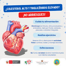 HMACuidamosTuSalud💗 ¿Sabías que el colesterol alto y los triglicéridos  elevados son factores silenciosos que aumentan el riesgo de enfermedades  del corazón? 👉 Una alimentación balanceada, ejercicio y chequeos médicos  pueden marcar la
