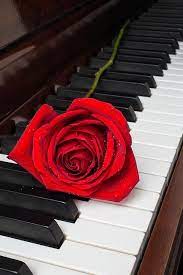 Pin By Ail Ahmed On Miscelanea Red 2 Piano Art Piano Romance Art
