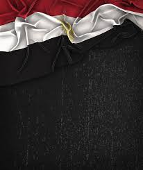 بورتريه علم مصر Hd احلى صور وخلفيات أعلام الدول مجانا 2020 مكتبة الفوتوشوب In 2020 Iraq Flag Iraq Flag