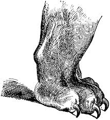 Foot 32030 Lg Gif 933 1 024 Pixels Animal Drawings Abstract Artwork Artwork