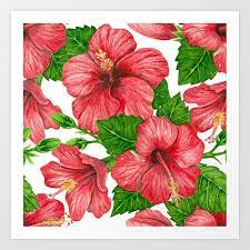 Pin On Painted Flowers