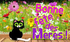 Voir plus d'idées sur le thème carte anniversaire gratuite, carte anniversaire, anniversaire. Cartes Papillons Virtuelles Gratuites Cybercartes Com