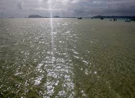 sunny day at the sandbar kaneohe oahu hawaii this