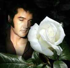 ⚡️🎵 Knock and the door shall be open Seek and you will find Ask and you'll  be given The key to this heart of mine..⚡️🎵 Welcome to my World