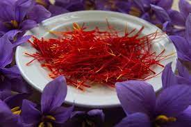 Manfaat Bunga Saffron Termahal Di Dunia Bahan Alami Nutrisi Diet