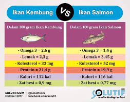 Meskipun ikan kembung memiliki kalori yang tinggi, hampir 250 per filet, ikan ini juga mengandung protein dalam jumlah besar untuk membantu. Jangan Salah Ikan Kembung Lebih Bergizi Ketimbang Salmon Yang Mahal Persagi Bandung