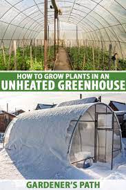 How to Grow Plants Year-Round in an Unheated Greenhouse