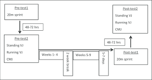 Flow Chart Depicting The Time Frame Of The Study Download