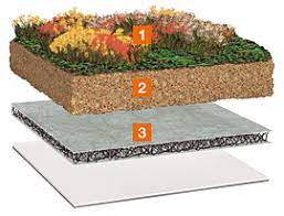 Strat de protectie, dren si filtrare: Die Preiswerte Drainage Extensive Dachbegrunung Von Bauder