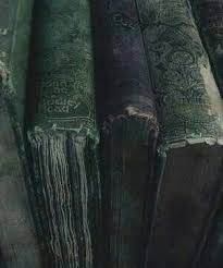 Slytherin Slytherin Girl Slytherin Fashion Slytherin Aesthetic Aesthetic Green Green And Silver Books Lips P Slytherin Aesthetic Dark Green Aesthetic Slytherin