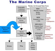 Marine Corps Rank Structure Essay College Paper Example