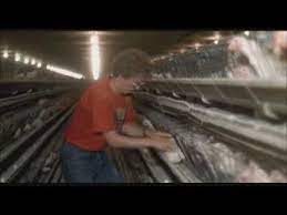 He asks if the chickens have large talons. Napoleon Do The Chickens Have Large Talons Youtube