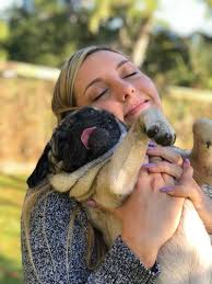 This College Student Wants "Justice For Bentley" After A Utility Worker  Killed Her Pug With A Pry Bar