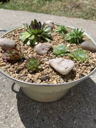 Decorative Stones Polished Smooth Pebbles Terrarium Stones Etsy Plant Pot Decoration Stone Decor Succulents