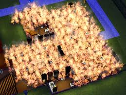 (if you like the video instagram: Sims Te Yaptiginiz En Sadistce Ya Da Komik Sey Neydi Sorusuna Gelen Akil Almaz Yanitlar Onedio Com
