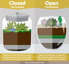 Terrariums Are The Coolest Open Terrariums Succulent Terrarium How To Make Terrariums