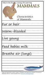 Animal Classification Mammals Fish Animal Classification Mammals Homeschool Science Lessons