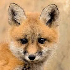 Photoscapes By Margaret