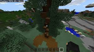 Why Won'T My Tree Saplings Grow? There Is Nothing Above Or Below Them And  I'Ve Used Almost A Stack Of Bonemeal On Them. : R/Minecraft