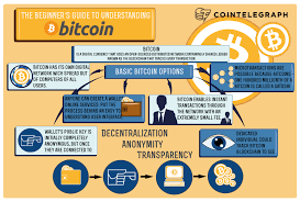 Safe and trusted bitcoin wallet, backed by the world's leading bitcoin manufacturer. Btc 101 The Beginner S Guide To Understanding Bitcoin