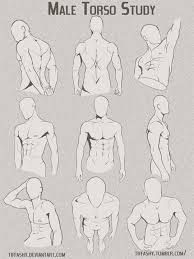 Anime body templates for drawing at getdrawings com free for. Anime Male Anatomy Reference Materi Pelajaran 8