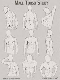 The original image if you have traced or. Anime Male Anatomy Reference Materi Pelajaran 8