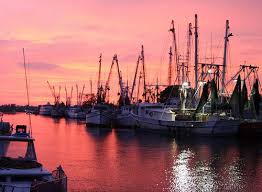 Tarpon Springs Fl Google Images Tarpon Springs Florida Travel Tarpon Springs Florida