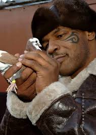 Hy het begin boks deur n duif.