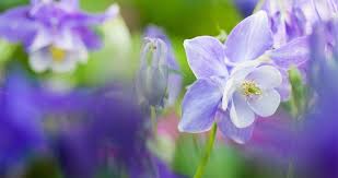 Maybe you would like to learn more about one of these? Bloomiq