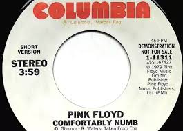 Check spelling or type a new query. Finding A Long Version Of Pink Floyd S Comfortably Numb