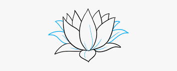 Save with up to 50% off volume discounts. How To Draw Lotus Flower Water Lily Drawing Simple Hd Png Download Kindpng