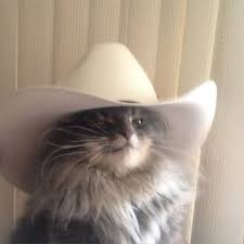 A e country roads, take me home. Shai On Twitter Country Roads Take Me Home To The Place I Belong West Virginia Mountain Mama Take Me Home Country Roads Https T Co 4gbzhcv1qt